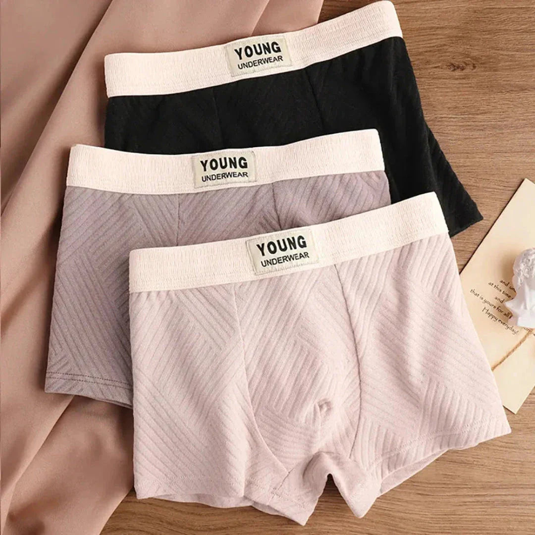 Pack de 3 Boxers Masculins en Coton Antibactérien Évacuation Humidité Respirants Confortables Amawinc