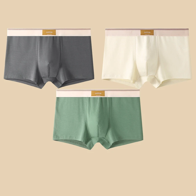 Ensemble Deux Pièces De Boxers Ajustés En Coton Pour Hommes Avec Ceinture Brandée Et Shorts Unis Qualité Nordique