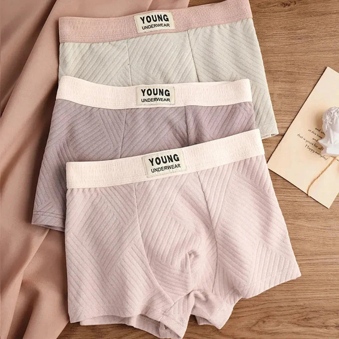 Pack de 3 Boxers Masculins en Coton Antibactérien Évacuation Humidité Respirants Confortables Amawinc