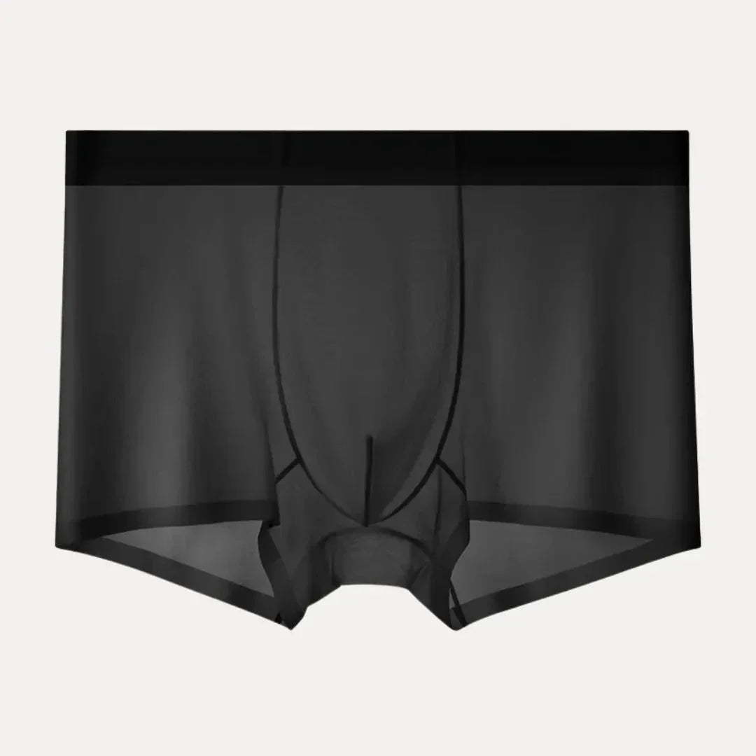 Ensemble De 4 Boxers Homme En Soie Glacée Ultra Minces Respirants À Séchage Rapide Confort