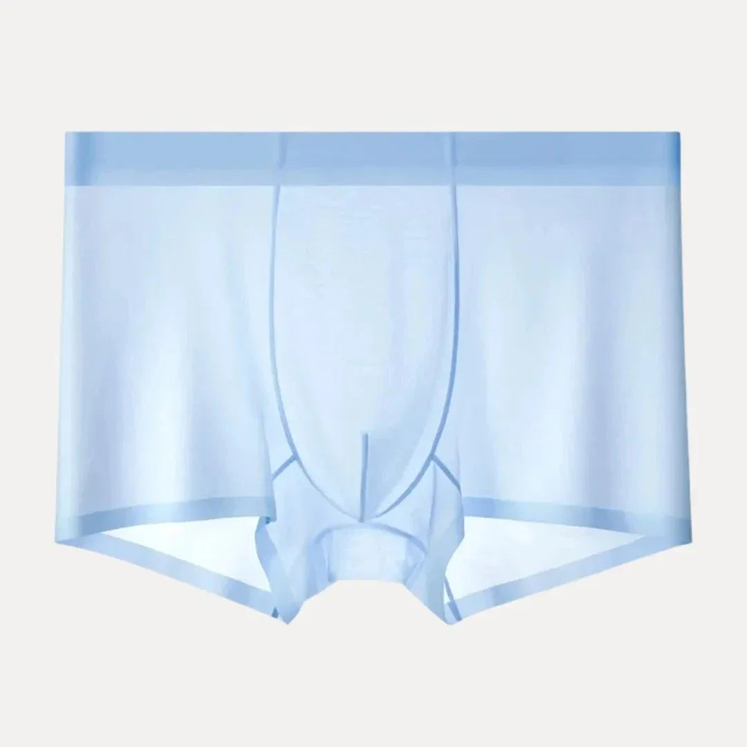 Ensemble De 4 Boxers Homme En Soie Glacée Ultra Minces Respirants À Séchage Rapide Confort