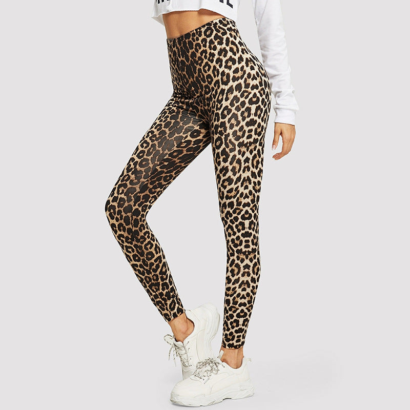 Damen Elegante Leggings im modischen Leopardenmuster Amawinc