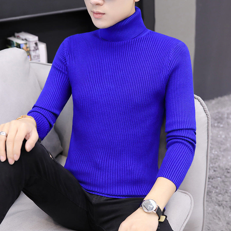 Damen modischer Rollkragenpullover aus weichem Strick Amawinc