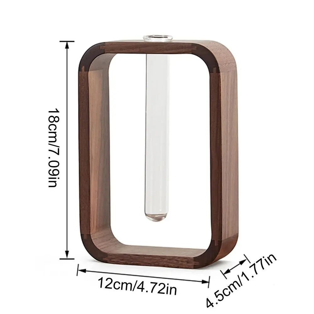 Arlin Vase Hydroponique En Verre Pour Décoration Et Plantation Intérieure Élégante