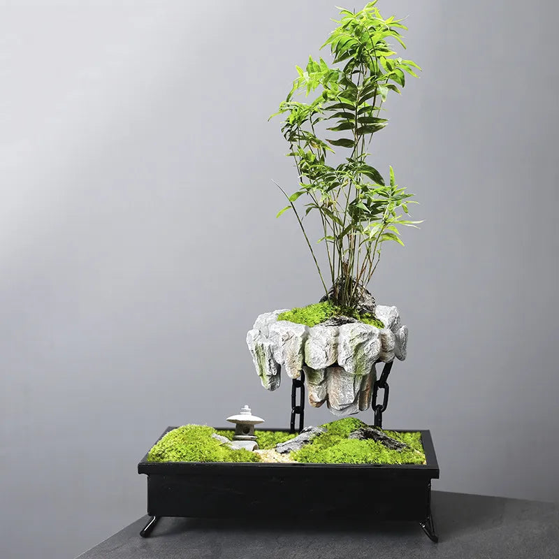 Myra Levitating Bonsai Pot En Pierre Artisanat Tranquillité Naturelle Et Équilibre Des Pierres