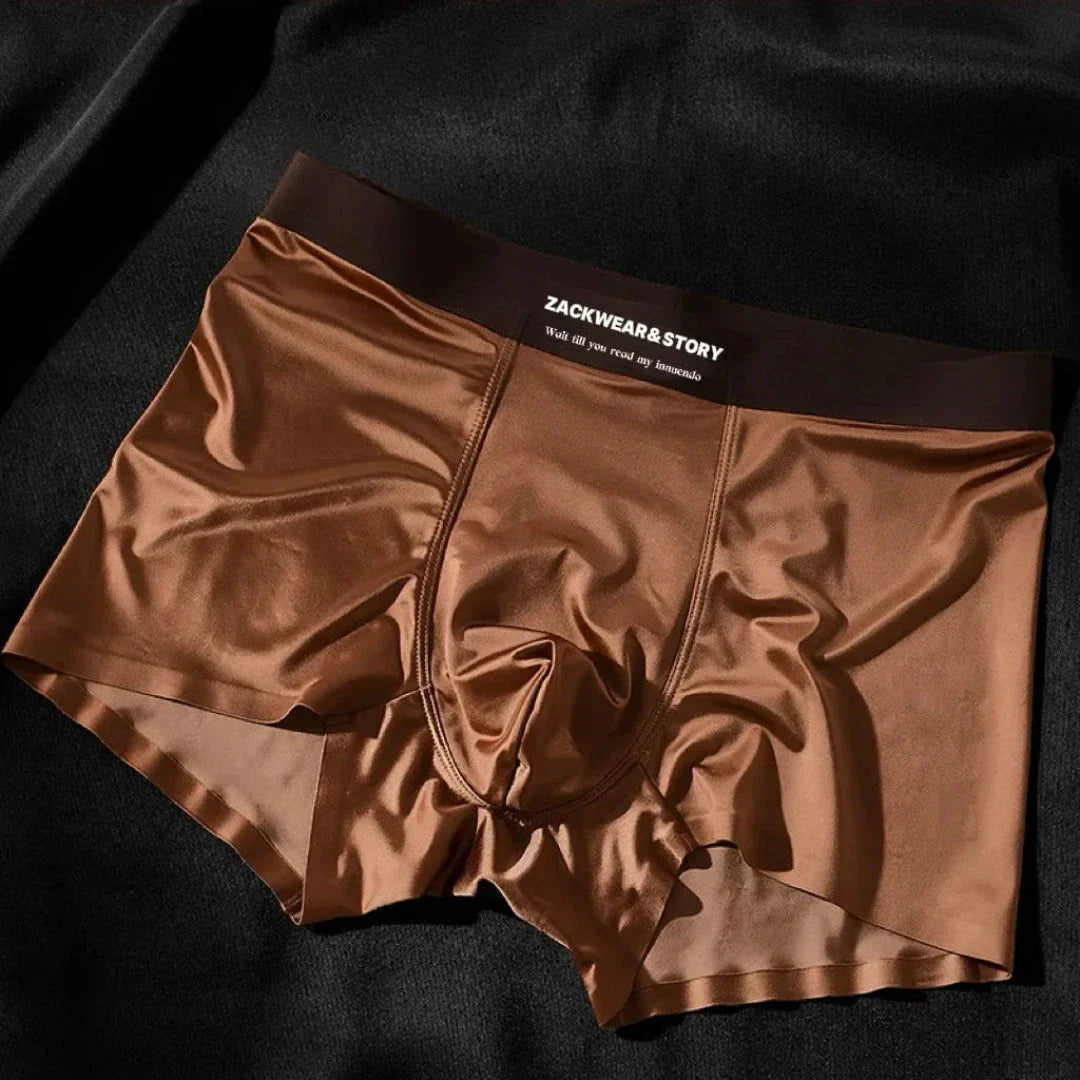 Zack Ice Silk Boxer Briefs Stretch Ultra Doux Confort Toute La Journée Soutien Contour Poche