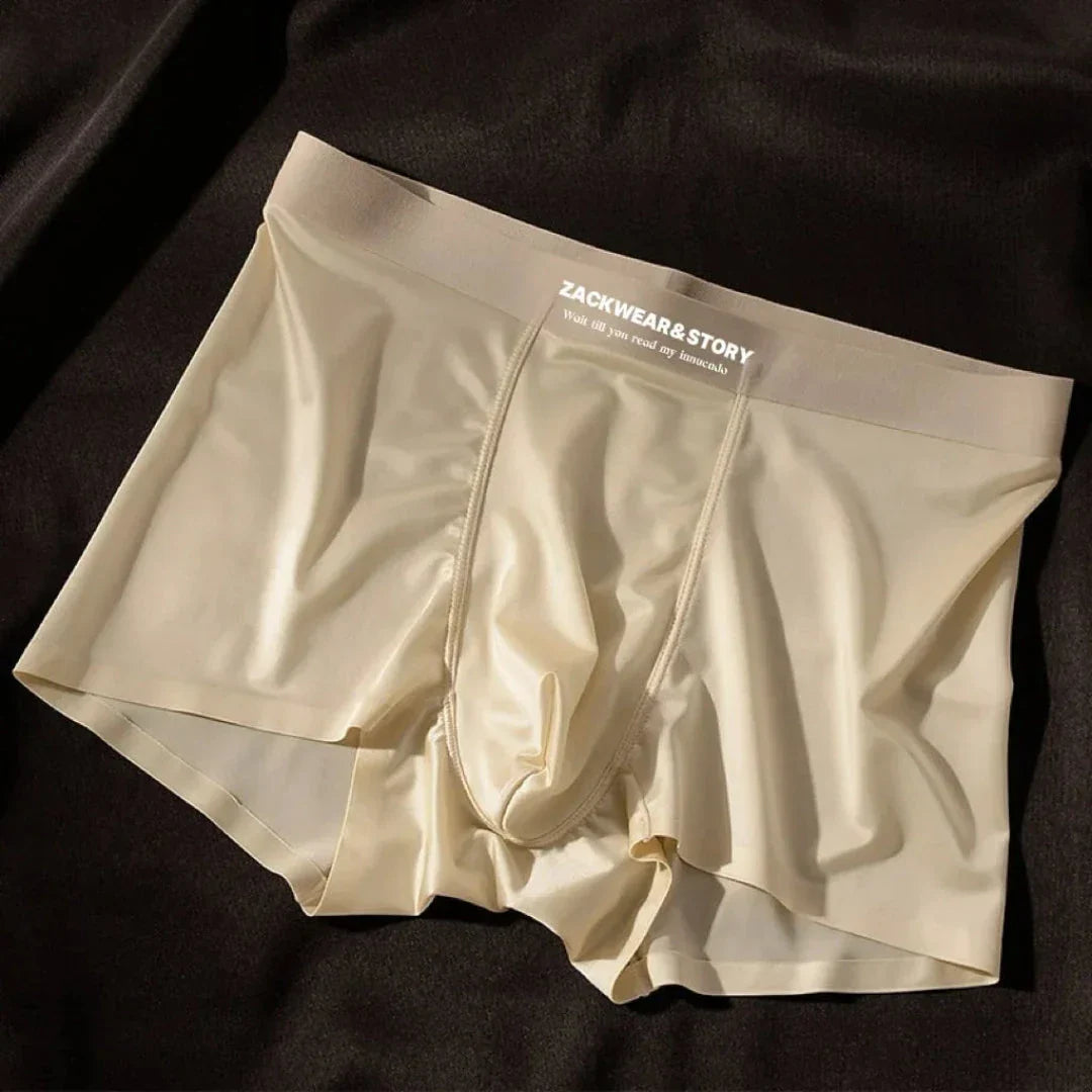 Zack Ice Silk Boxer Briefs Stretch Ultra Doux Confort Toute La Journée Soutien Contour Poche