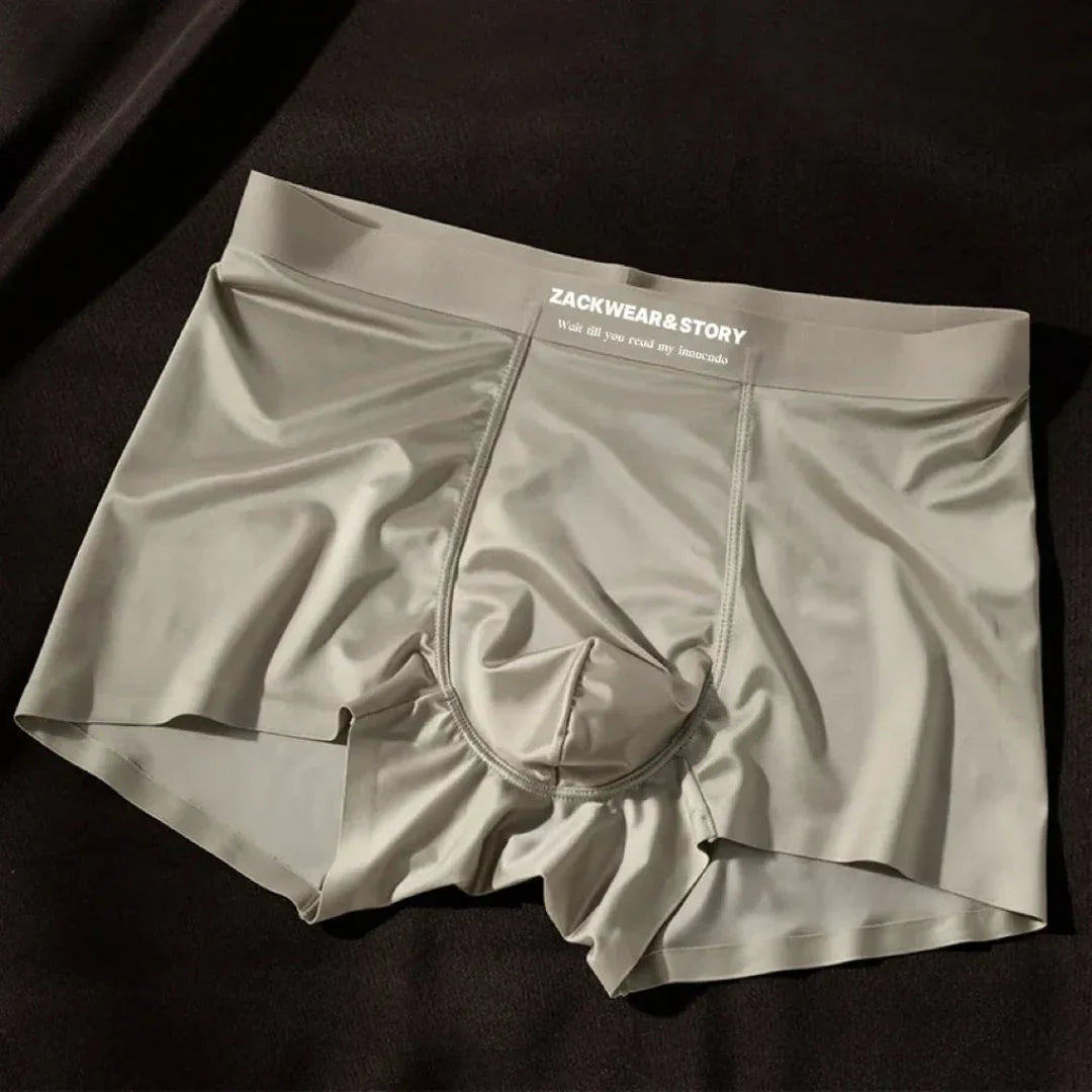 Zack Ice Silk Boxer Briefs Stretch Ultra Doux Confort Toute La Journée Soutien Contour Poche