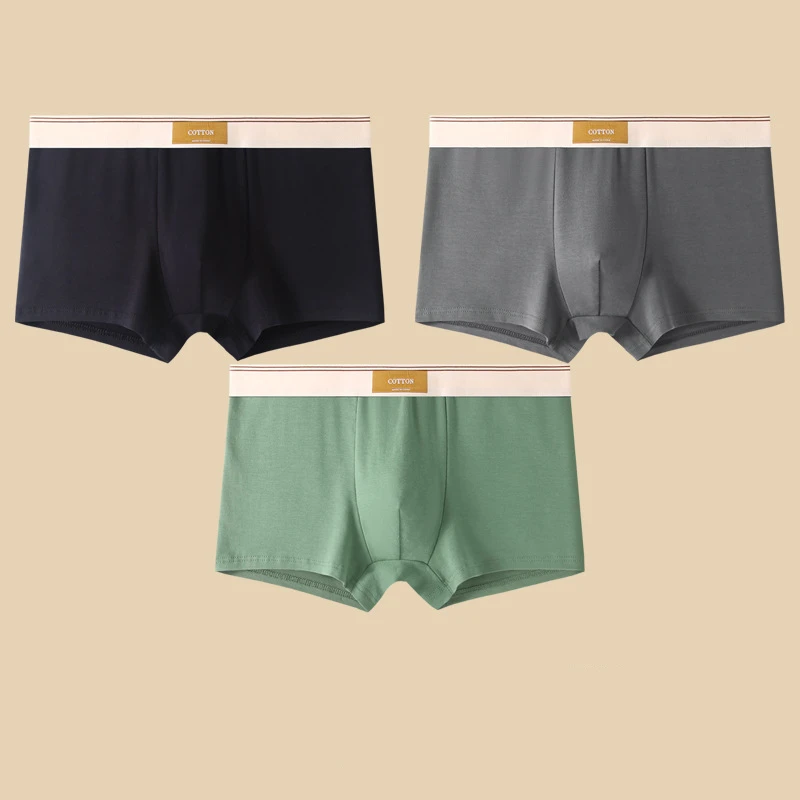 Ensemble Deux Pièces De Boxers Ajustés En Coton Pour Hommes Avec Ceinture Brandée Et Shorts Unis Qualité Nordique