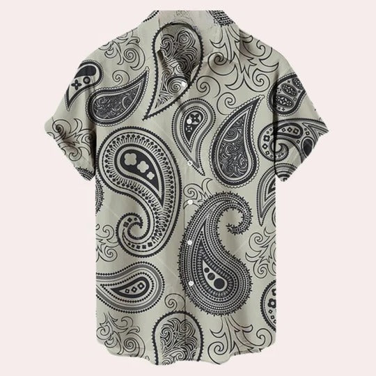 Chemise Pour Homme À Manches Courtes Imprimée À Motif Léger Pour Temps Chaud Décontractée Style Quotidien