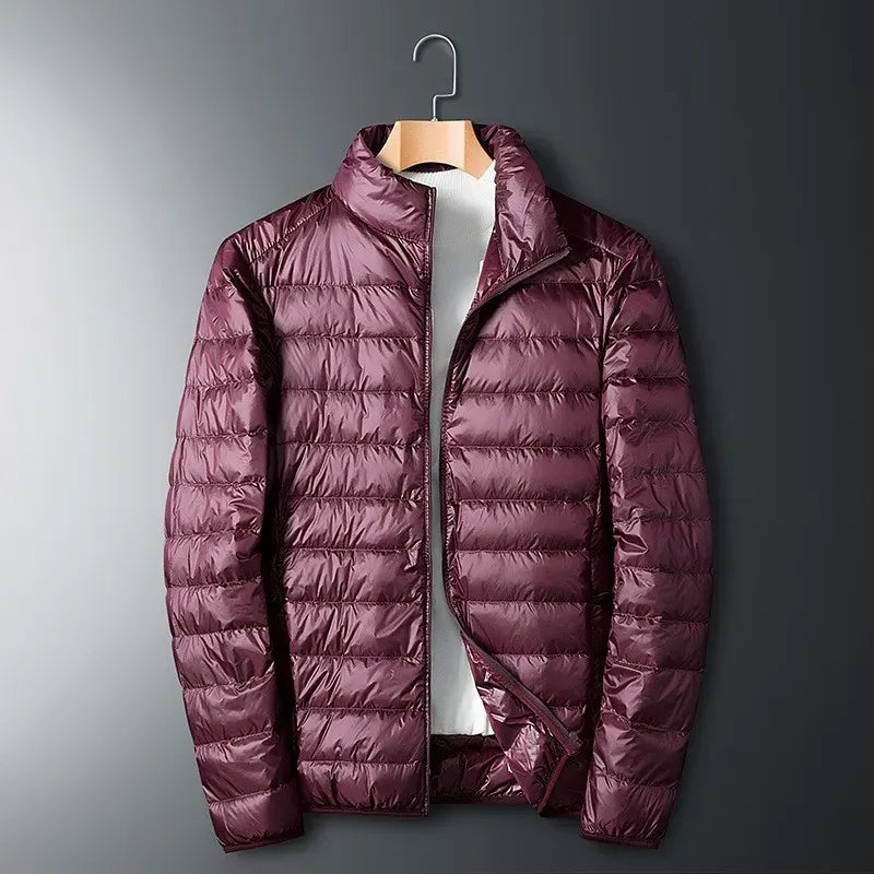 Doudoune Homme Regular Fit Matelassée En Nylon Zip Intégral Col Debout Manteau Hiver Chaud Pour Ville Plein Air Aventure