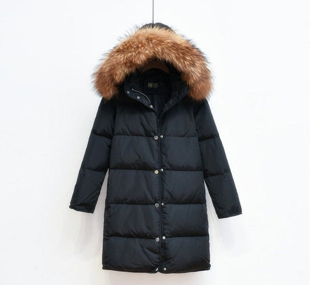 Amawinc | Arctic Luxe - Elegante lange Jacke