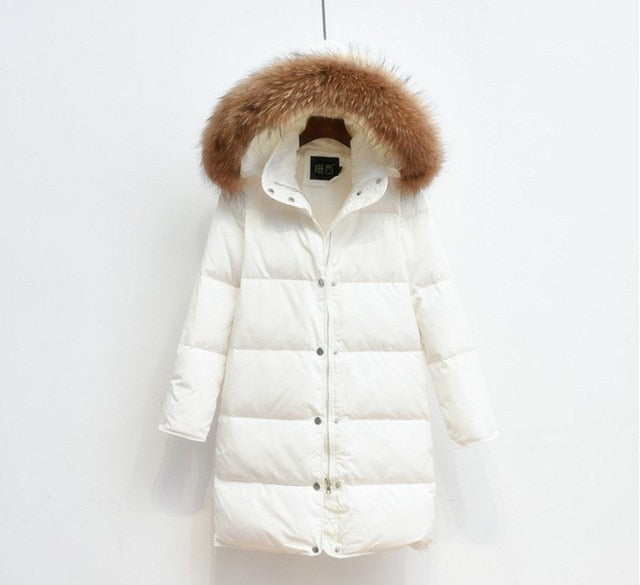 Amawinc | Arctic Luxe - Elegante lange Jacke